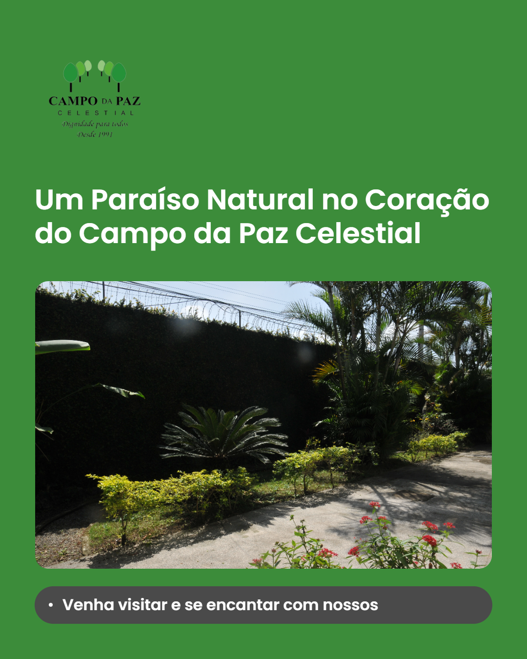 Foto Blog
