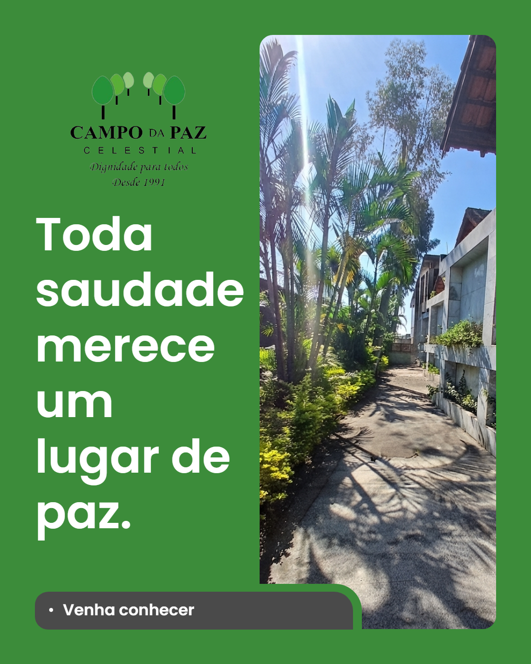Foto Blog