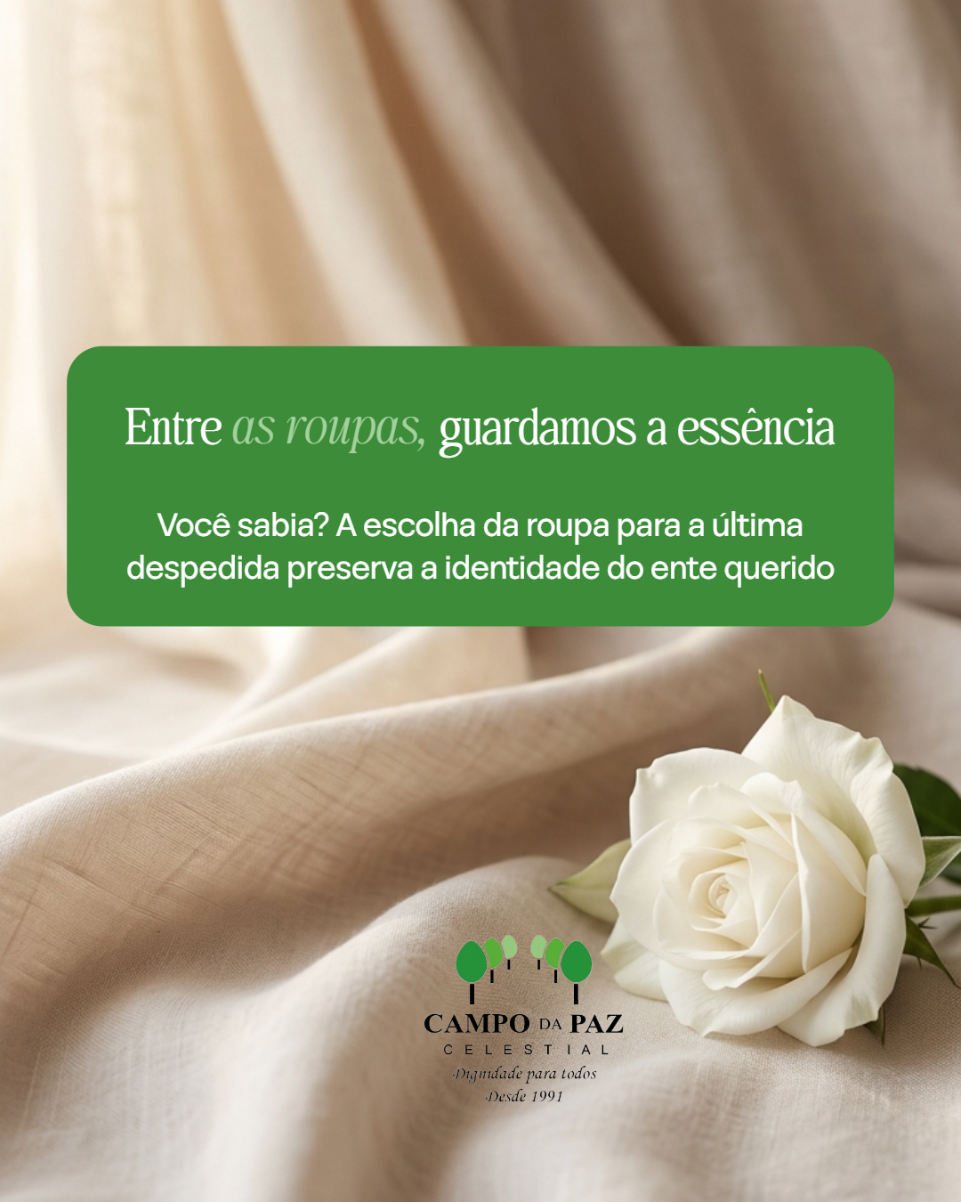 Foto Blog