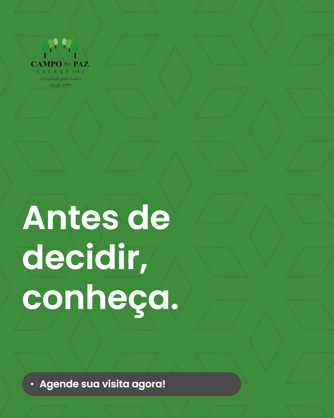 Foto Blog
