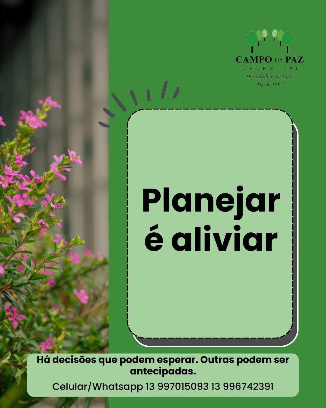 Foto Blog