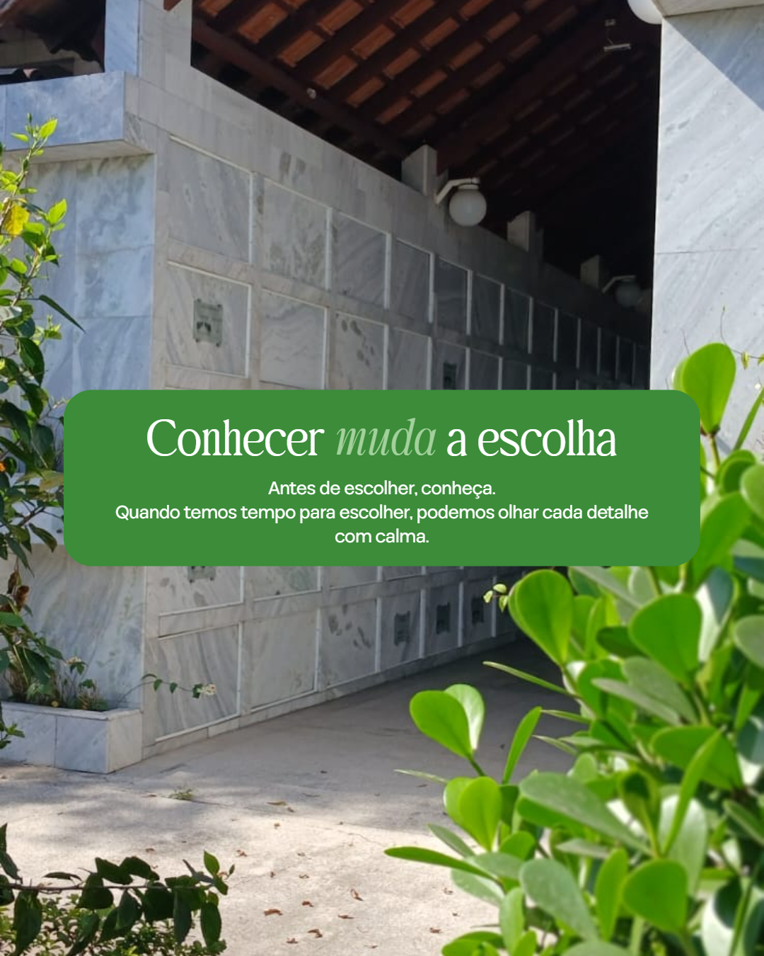 Foto Blog
