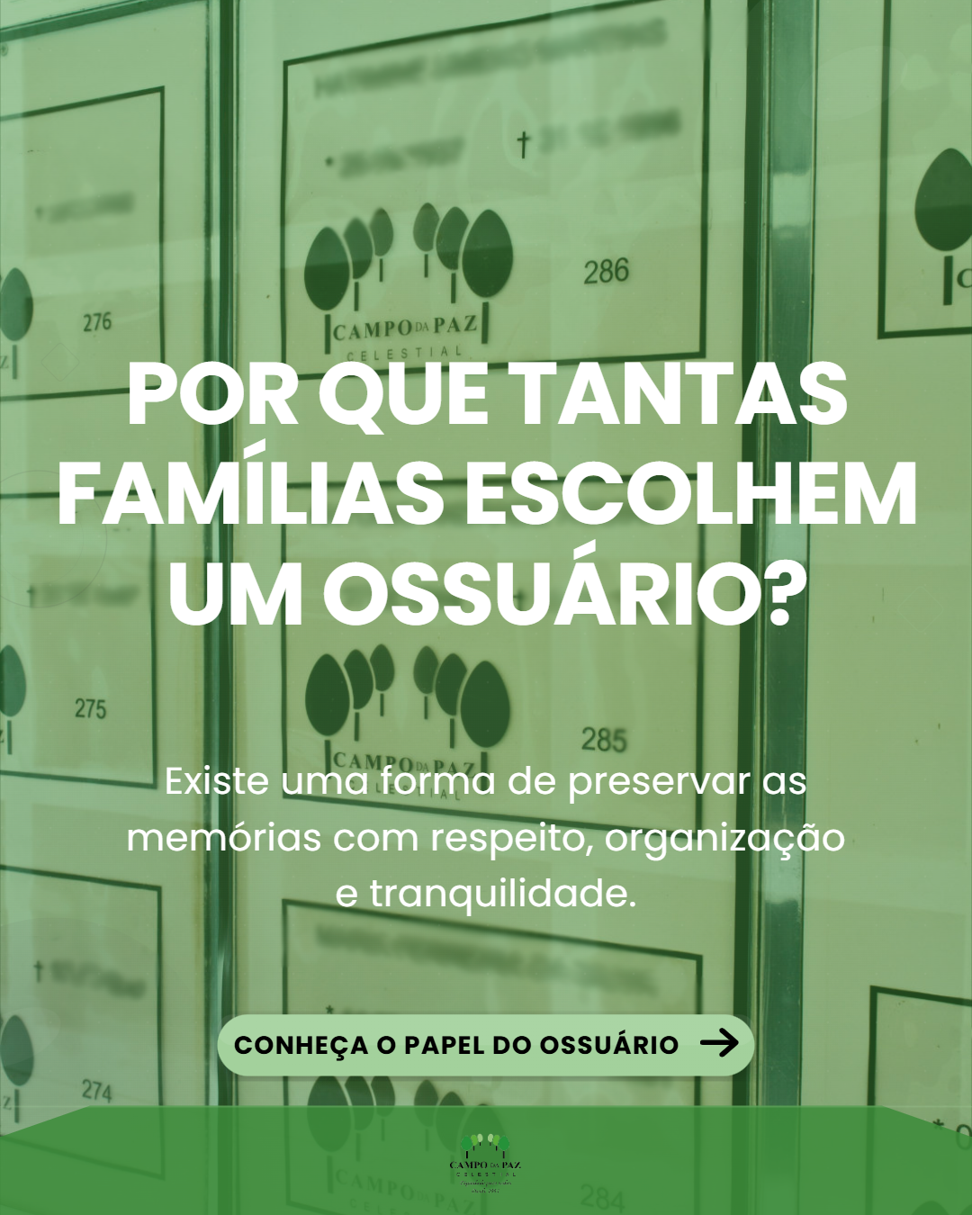 Foto Blog