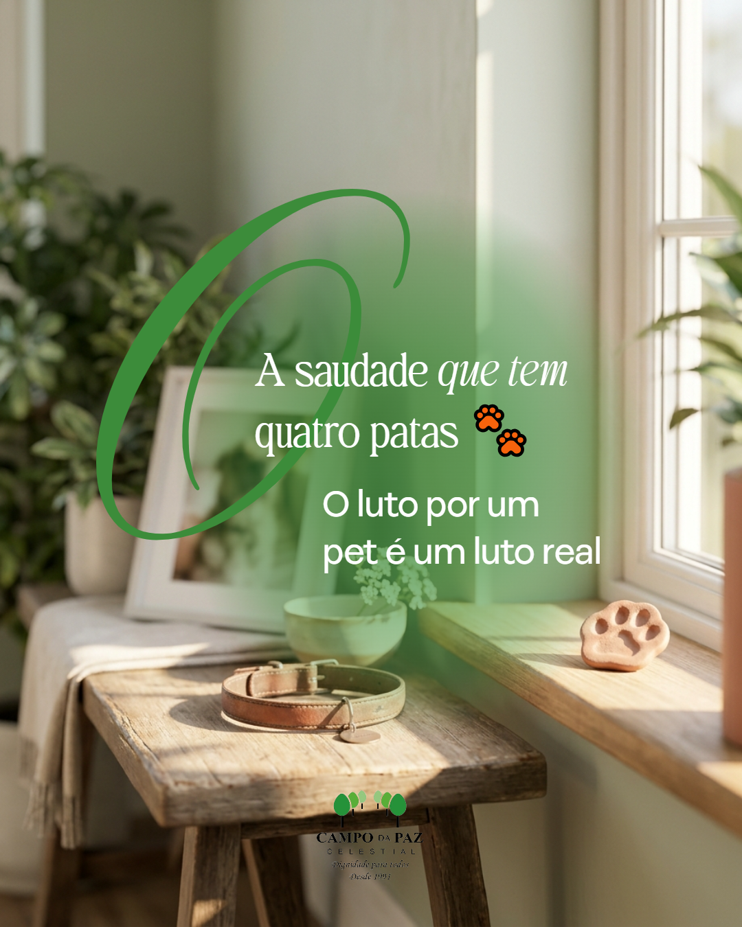 Foto Blog