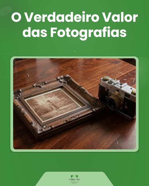 Foto Blog