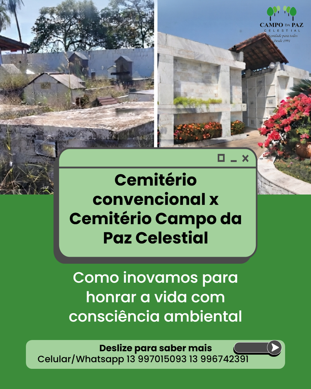 Foto Blog